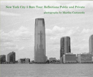 New York City 5 Boro Tour: Reflections Public and Private book cover