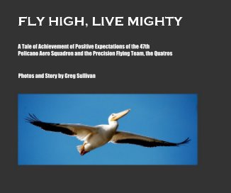 FLY HIGH, LIVE MIGHTY book cover