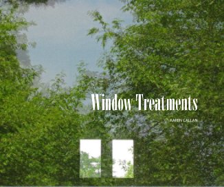 Window Treatments book cover