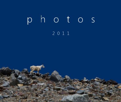 Photos: 2011 book cover