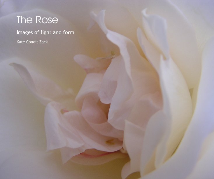 Ver The Rose por Kate Condit Zack