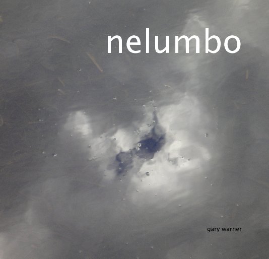 View nelumbo by gary warner