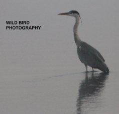 Wild Birds book cover