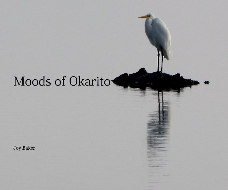 View Moods of Okarito by Joy Baker