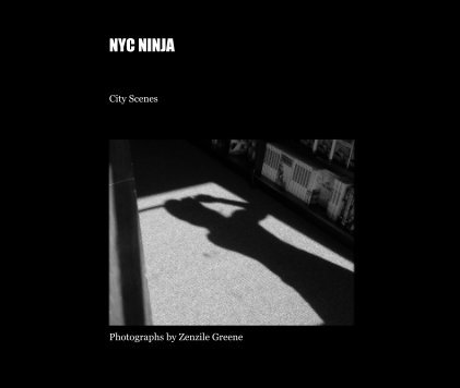NYC NINJA book cover