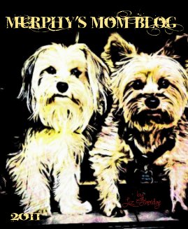 Murphy's Mom Blog 2011 book cover