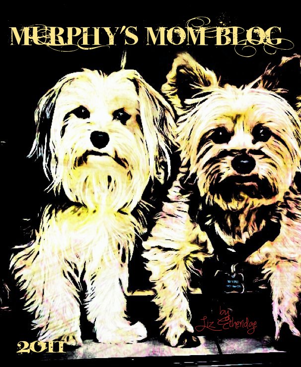 Bekijk Murphy's Mom Blog 2011 op Liz Etheridge