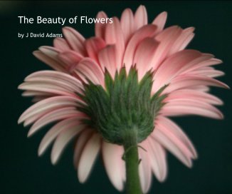The Beauty of Flowers book cover