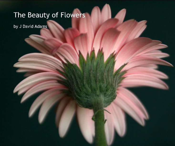 View The Beauty of Flowers by J. David Adams