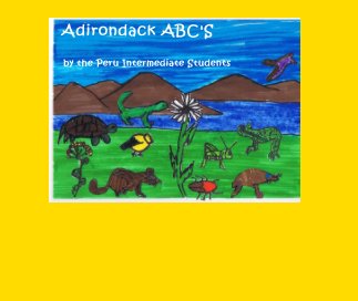 Adirondack ABC'S book cover