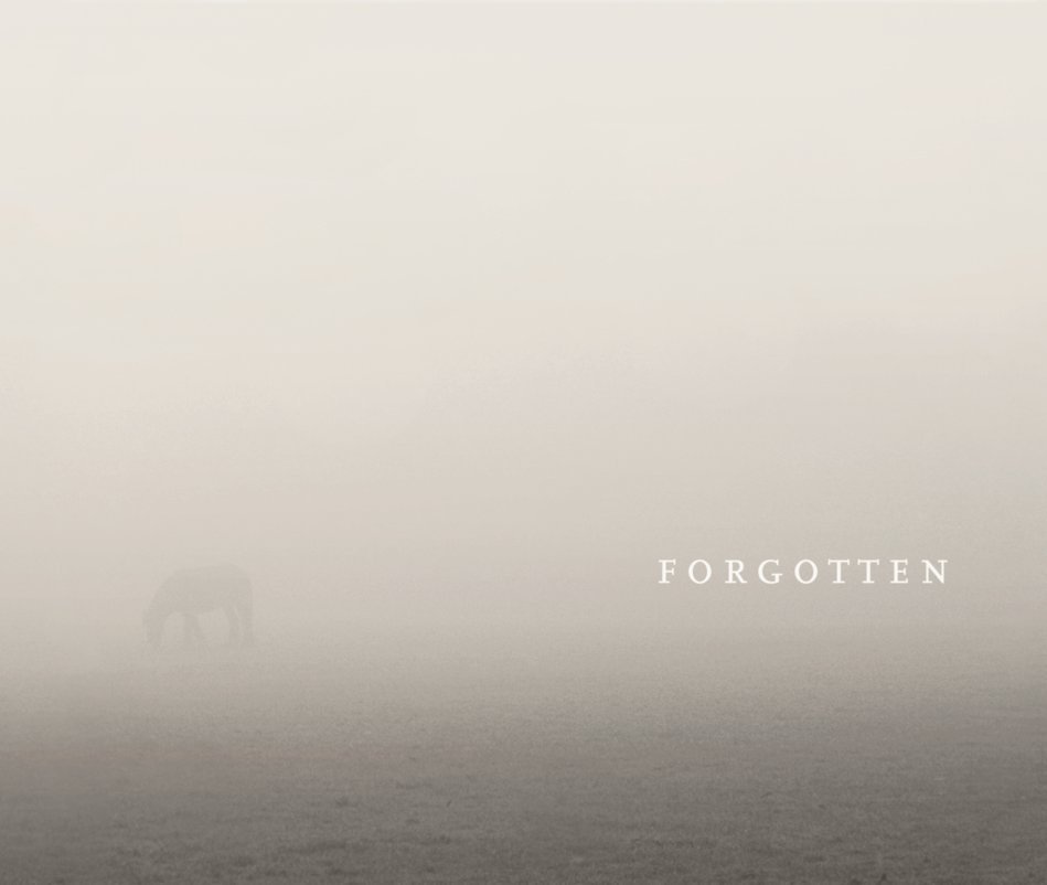 View Forgotten by Leah Anderson