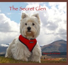 The Secret Glen book cover