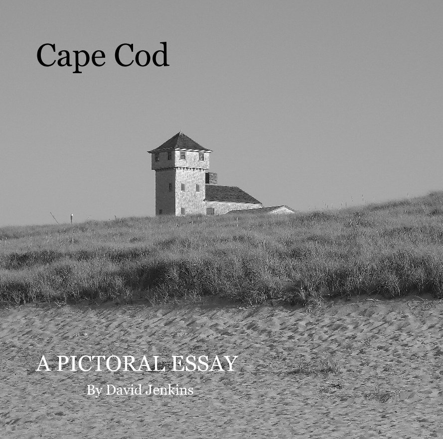View Cape Cod by David Jenkins