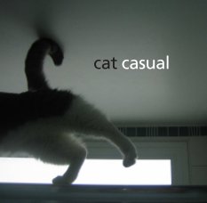 Cat Casual book cover