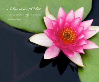 A Garden of Color book cover