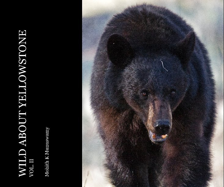View WILD ABOUT YELLOWSTONE VOL. II by Mohith K Munuswamy