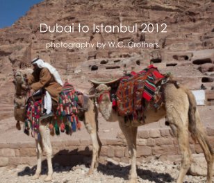 Dubai to Istanbul 2012 book cover
