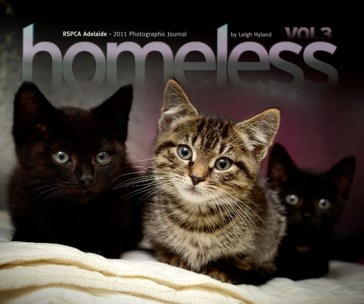 View Homeless Vol.3 (v3.2) by Leigh Hyland