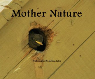 Mother Nature Photography By Melissa Felix book cover