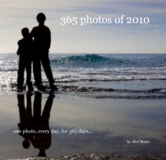 365 photos of 2010 book cover