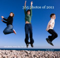 365 photos of 2011 book cover