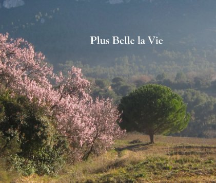 Plus Belle la Vie book cover