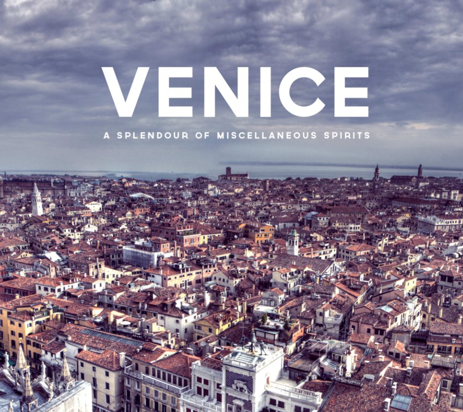 View Venice by Will Howe