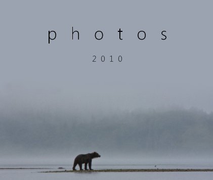 Photos: 2010 book cover