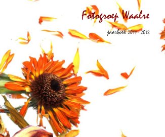 Fotogroep Waalre book cover
