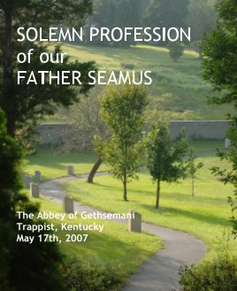 SOLEMN PROFESSION book cover