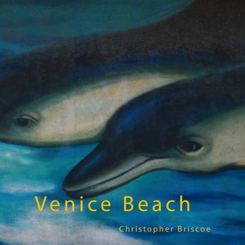 View Venice Beach by Christopher Briscoe