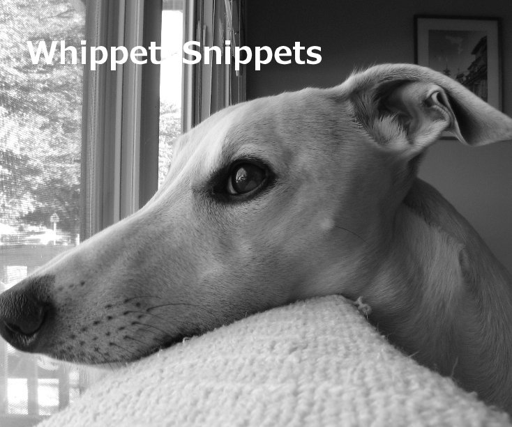 Bekijk Whippet Snippets op Ribsy and Mirabel