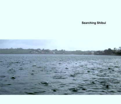 Searching Shibui book cover