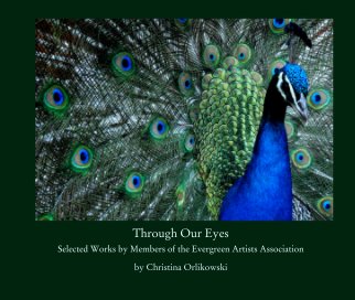 Through Our Eyes book cover