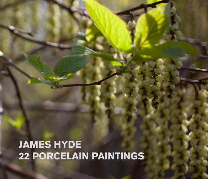 View 22 Porcelain Paintings by James Hyde