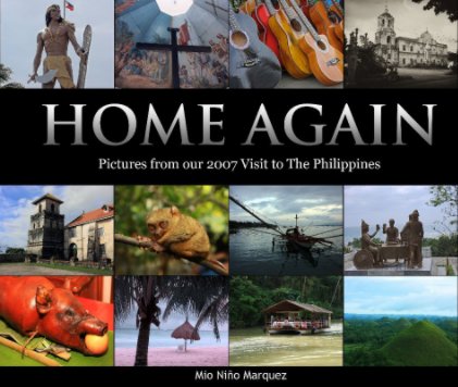 Home Again book cover