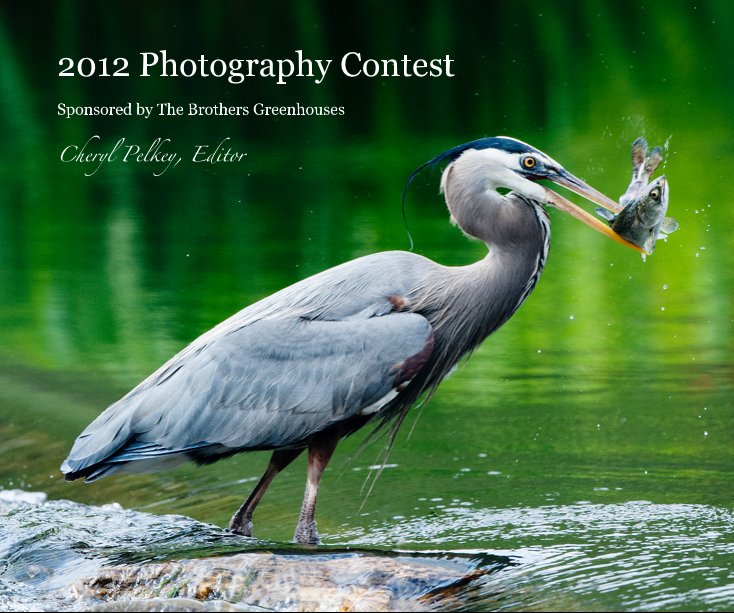 View 2012 Photography Contest by Cheryl Pelkey, Editor