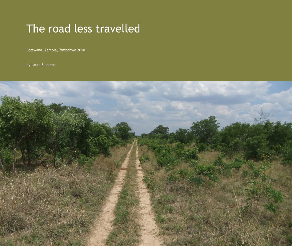 View The road less travelled by Laura Sinnema