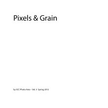 Pixels & Grain: Spring 2012 book cover