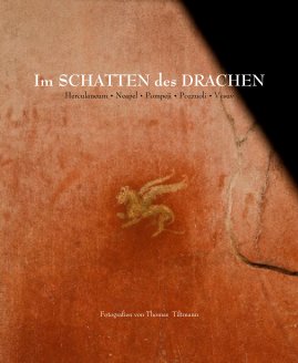 Im SCHATTEN des DRACHEN book cover