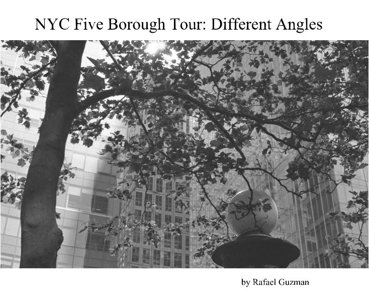 NYC Five Borough Tour: Different Angles nach Rafael Guzman anzeigen