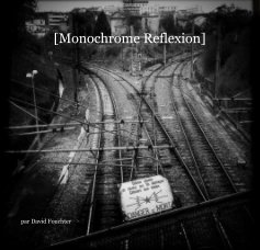 [Monochrome Reflexion] book cover