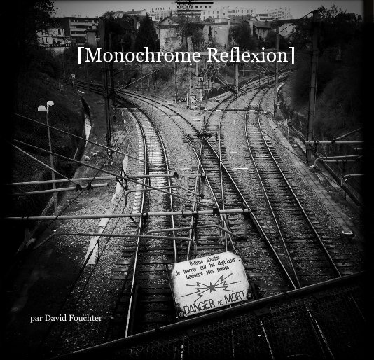 View [Monochrome Reflexion] by David Fouchter