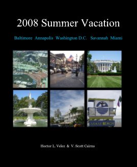 2008 Summer Vacation book cover