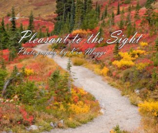 Pleasant to the Sight book cover