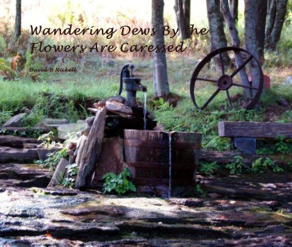 Wandering Dews By the Flowers Are Caressed book cover