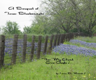 A Bouquet of Texas Bluebonnets book cover