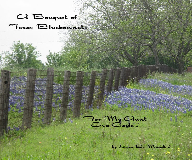 View A Bouquet of Texas Bluebonnets by Lina B. Musick ♫