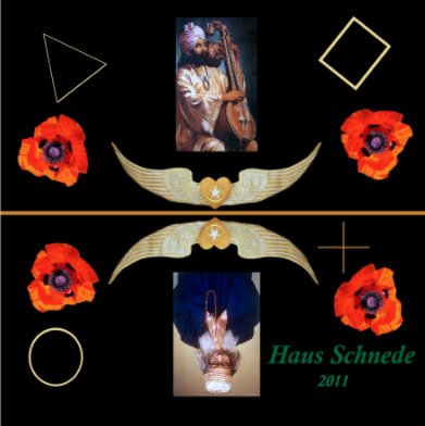 HAUS SCHNEDE 2011. book cover