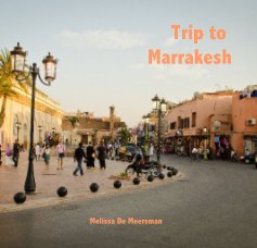 Trip to Marrakesh book cover